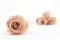 Rosa stabilizzata L Antique Pink - Grande formato (x378) 8