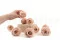 Rosa stabilizzata L Antique Pink - Grande formato (x378) 7