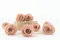Rosa preservada L Antique Pink - Granel (x378) 9