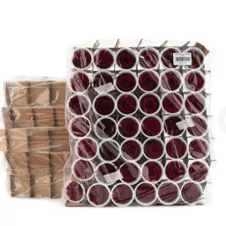 Rose stabilis&eacute;e XL Bordeaux - Vrac (x252)