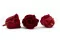 Konservierte Rose XL Bordeaux - Gro&szlig;packung (x252) 5