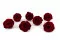Rosa preservada XL Burdeos - Granel (x252) 7