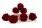Konservierte Rose XL Bordeaux - Gro&szlig;packung (x252) 9