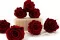 Rose stabilis&eacute;e XL Bordeaux - Vrac (x252) 2