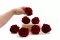 Rosa stabilizzata XL Bordeaux - Grande formato (x252) 6