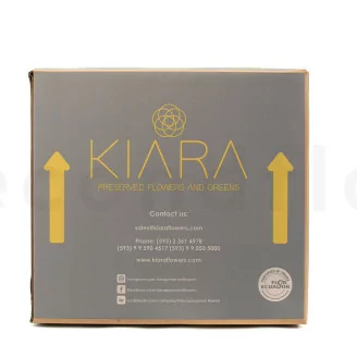Konservierte Rose L Nude - Gro&szlig;packung (x378)