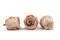 Konservierte Rose L Nude - Gro&szlig;packung (x378) 5