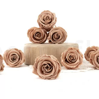 Preserved Rose L Nude - Bulk (x378)