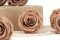 Rose stabilis&eacute;e L Nude - Vrac (x378) 2