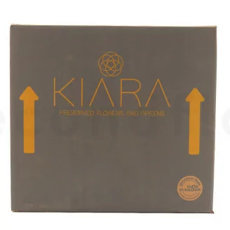 Preserved Kiara rose L - Bulk of 468 units - Parma
