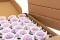Preserved Kiara rose L - Bulk of 468 units - Parma 3