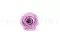 Konservierte Rose Kiara L - Bulk 468 St&uuml;ck - Parma 6