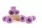 Rose stabilis&eacute;e Kiara L - Vrac 468 unit&eacute;s - Parma 7