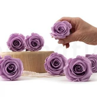 Rose stabilis&eacute;e Kiara L - Vrac 468 unit&eacute;s - Parma