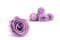 Preserved Kiara rose L - Bulk of 468 units - Parma 11