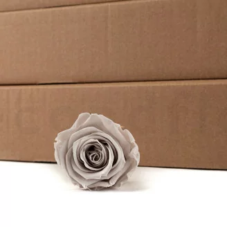 Rose stabilis&eacute;e Kiara L - Vrac 468 unit&eacute;s - Grey