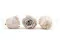 Preserved Kiara rose L - Bulk of 468 units - Grey 5