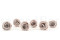 Stabilized Kiara rose L - Bulk of 468 units - Grey 9