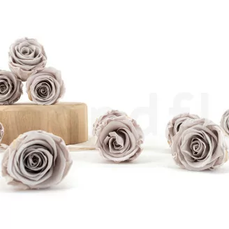 Rose stabilis&eacute;e Kiara L - Vrac 468 unit&eacute;s - Grey