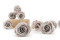 Stabilized Kiara rose L - Bulk of 468 units - Grey 2