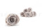 Stabilized Kiara rose L - Bulk of 468 units - Grey 11