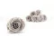Preserved Kiara rose L - Bulk of 468 units - Grey 11
