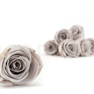 Rose stabilis&eacute;e Kiara L - Vrac 468 unit&eacute;s - Grey