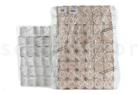 Konservierte Rose L Fancy Light Pink Blush - Gro&szlig;packung (x378)