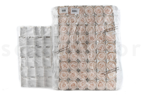 Preserved rose Kiara L Fancy - Bulk of 378 - Light Pink Blush