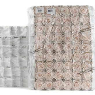 Rosa stabilizzata L Fancy Light Pink Blush - Grande formato (x378)