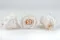 Rose stabilis&eacute;e Fancy L Light Pink Blush - Vrac (x378) 5