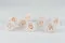 Preserved Rose L Fancy Light Pink Blush - Bulk (x378) 6