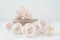Rose stabilis&eacute;e Fancy L Light Pink Blush - Vrac (x378) 10
