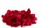 P&eacute;tales de Rose stabilis&eacute;s Rouge 7