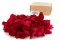 Preserved Rose Petals Red 8