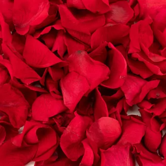 Preserved Rose Petals Red