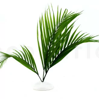 Konserviertes Areca-Blatt (x3)