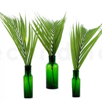 Preserved Areca Palm Leaf (x3)