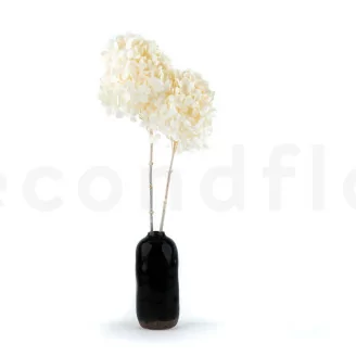 Konservierte Hortensie Grandiflora Wei&szlig; (x2)