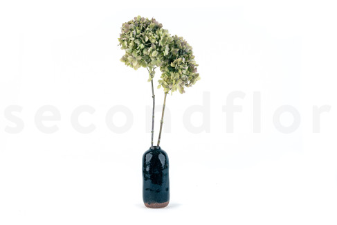 Preserved Grandiflora Hydrangea - 2 stems - Oregano Purple