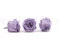 Rosa stabilizzata L Viola Pastello (x6) 3