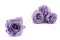 Konservierte Rose L Pastellviolett (x6) 6