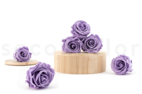 Rosa preservata Verdissimo L - Scatola da 6 - Pastel Violet