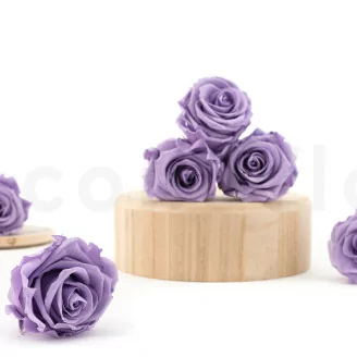 Rosa preservada L Violeta Pastel (x6)