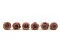 Konservierte Rose L Mocha Cocoa (x6) 6