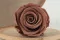 Rosa stabilizzata L Mocha Cocoa (x6) 8