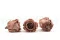 Preserved Rose L Mocha Cocoa (x6) 4