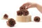 Preserved Rose L Mocha Cocoa (x6) 5
