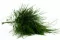 Tree Fern stabilis&eacute; Vert 6