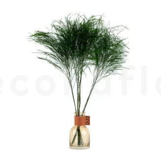 Preserved Tree Fern Green